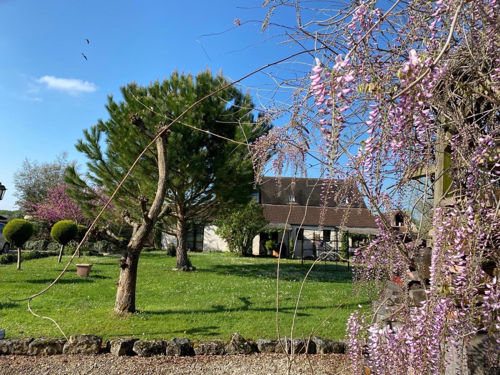 Gite Et Studios Les Barongeres Farges-les-Chalon Zewnętrze zdjęcie