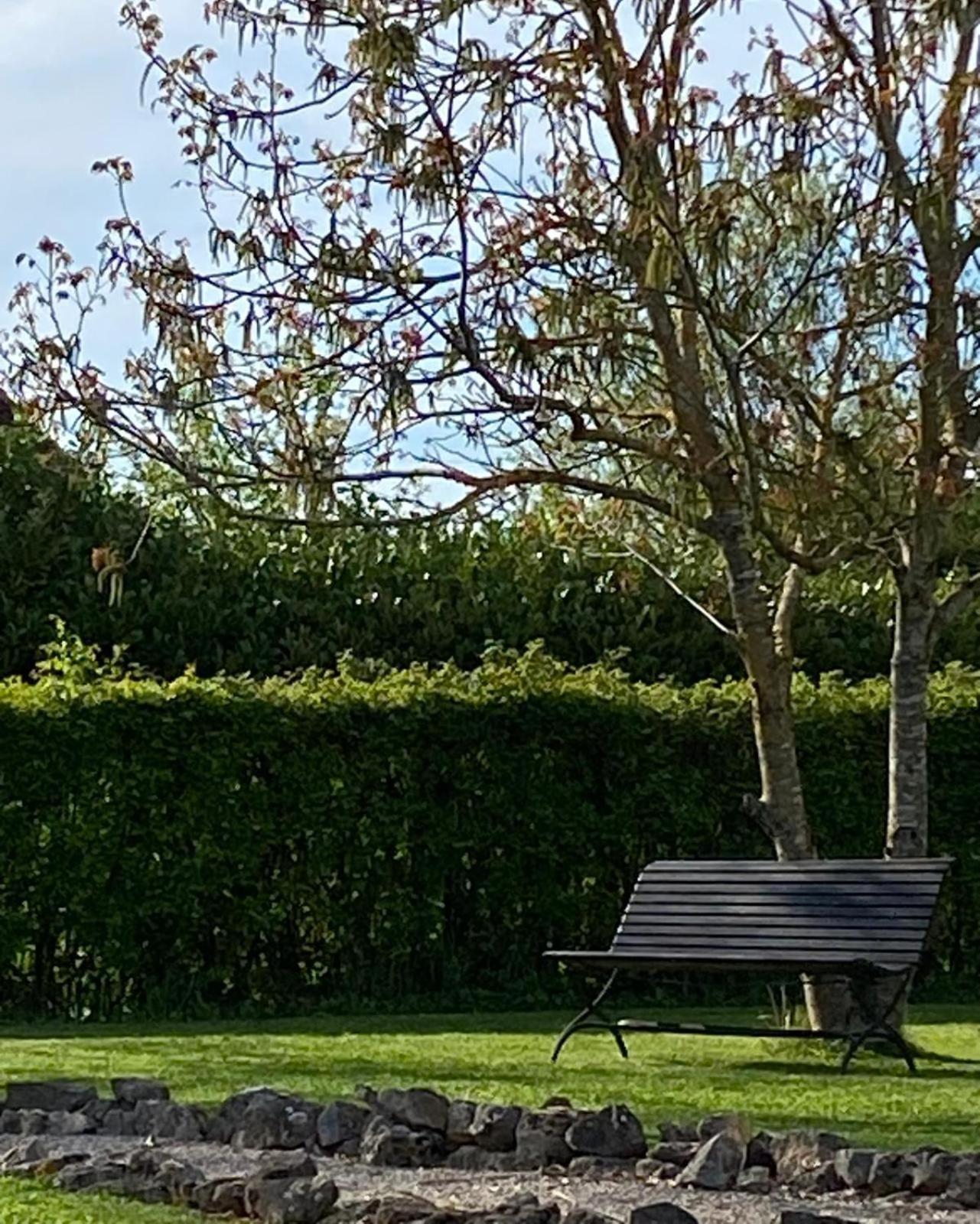 Gite Et Studios Les Barongeres Farges-les-Chalon Zewnętrze zdjęcie