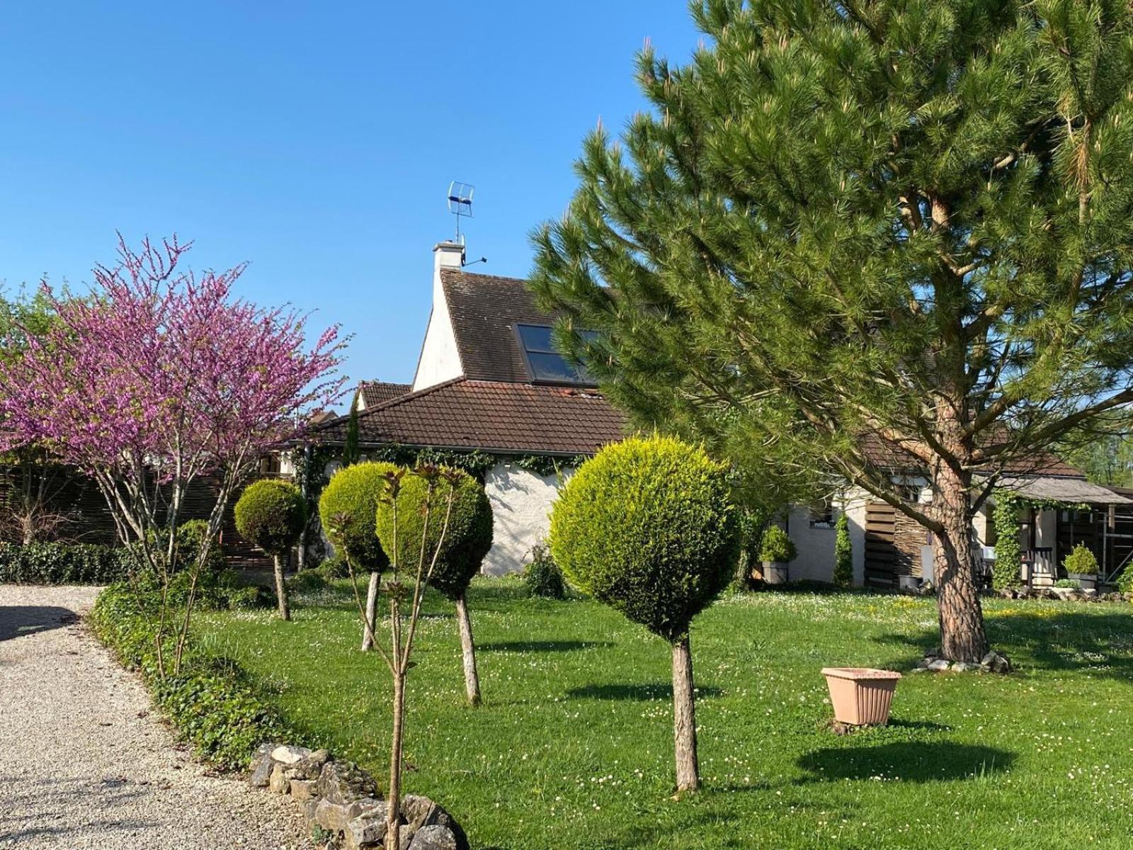 Gite Et Studios Les Barongeres Farges-les-Chalon Zewnętrze zdjęcie